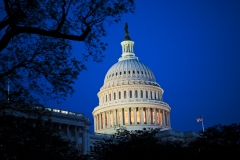 Capitol at Night