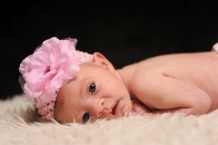 1-31-14 Gracie0003