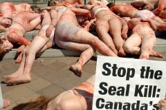 PETA-Seals2